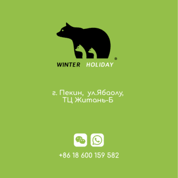 WINTER HOLIDAY — изображение 14