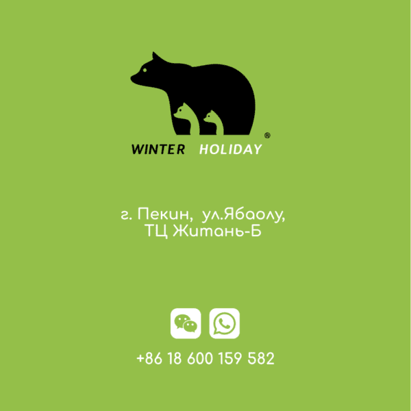 WINTER HOLIDAY — изображение 14