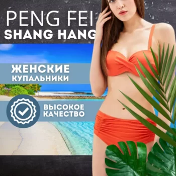 PENG FEI SHANG HANG