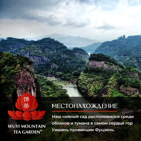 WU YI MOUNTAIN TEA GARDEN — изображение 3
