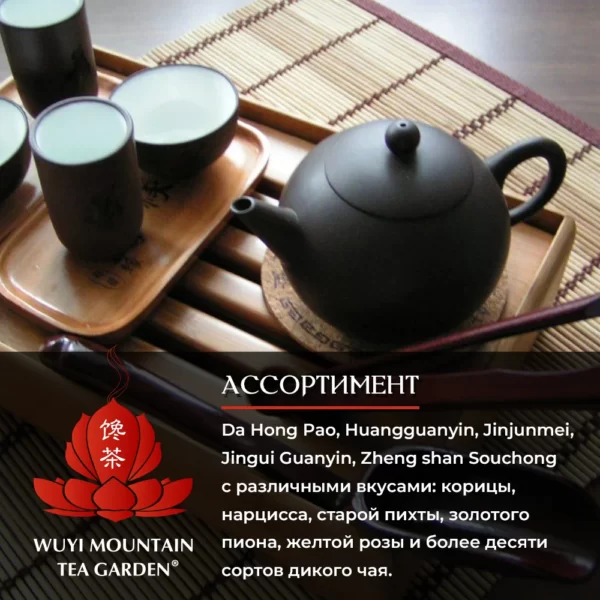 WU YI MOUNTAIN TEA GARDEN — изображение 10