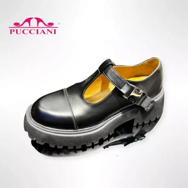 PUCCIANI — изображение 21
