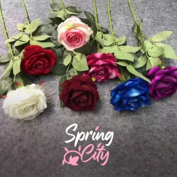 SPRING CITY — изображение 2