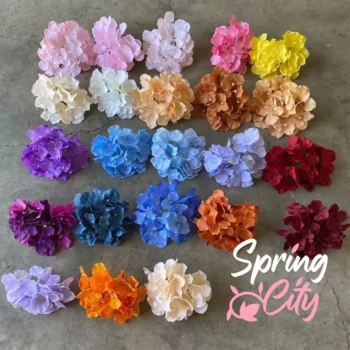 SPRING CITY — изображение 12