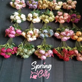 SPRING CITY — изображение 3