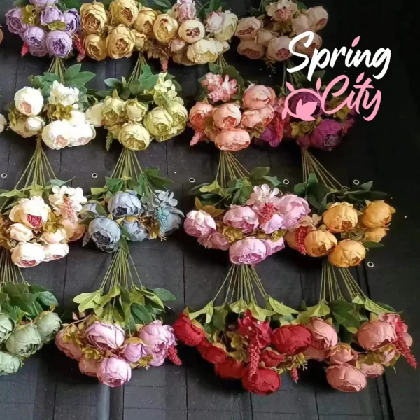 SPRING CITY — изображение 4