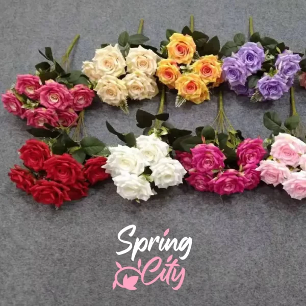 SPRING CITY — изображение 5