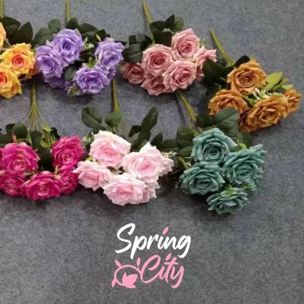 SPRING CITY — изображение 6