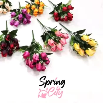 SPRING CITY — изображение 8
