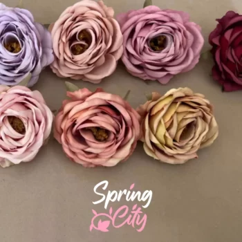 SPRING CITY — изображение 10