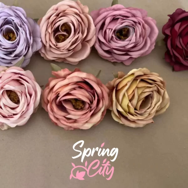SPRING CITY — изображение 10