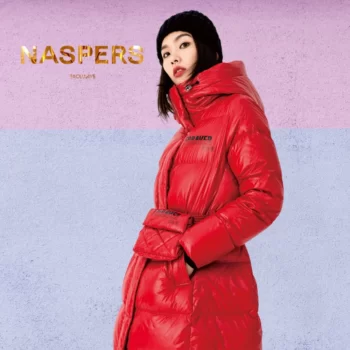 NASPERS — изображение 14