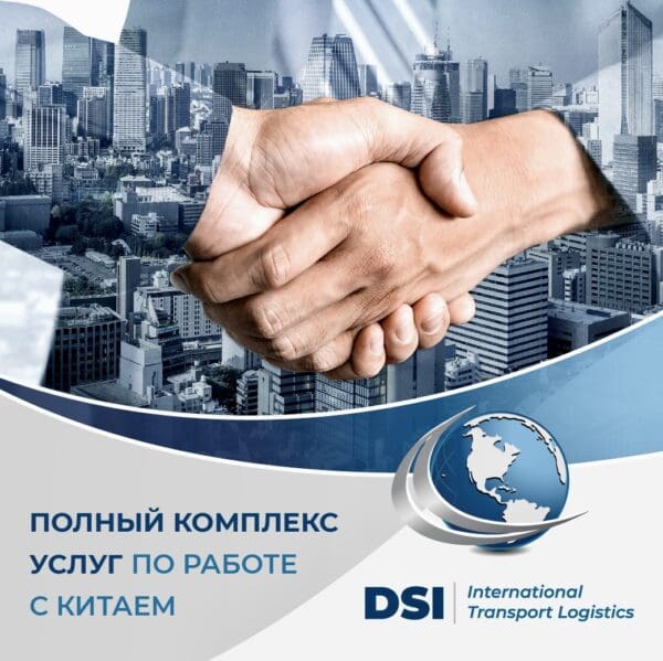 DSI — изображение 1