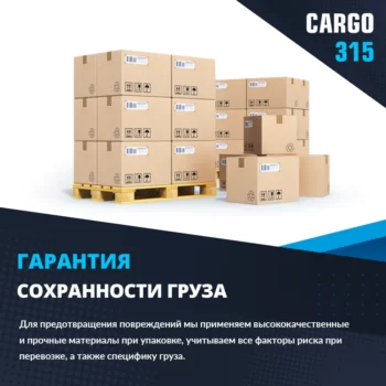 CARGO 315 — изображение 7