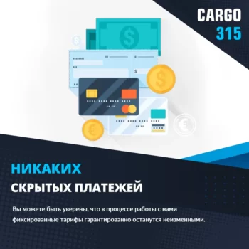 CARGO 315 — изображение 9