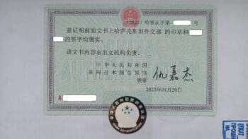 Визы в Китай  Казахстанцам — изображение 9